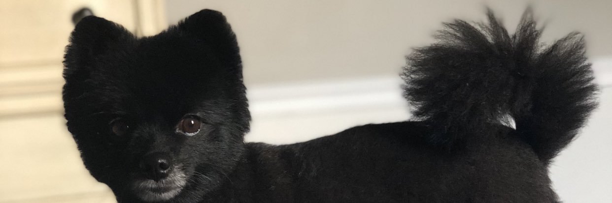 JeniferNicole24's profile banner image