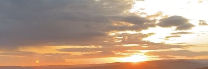 daniellesarahm's profile banner image