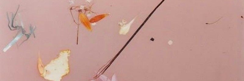 flxlessharry's profile banner image