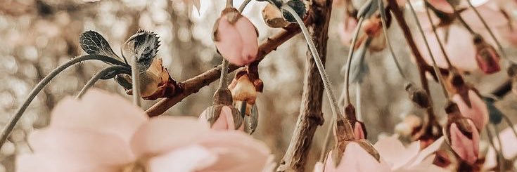 atches's profile banner image