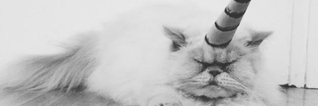 Natasha Black banner