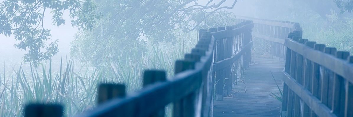Kkothau2zz's profile banner image