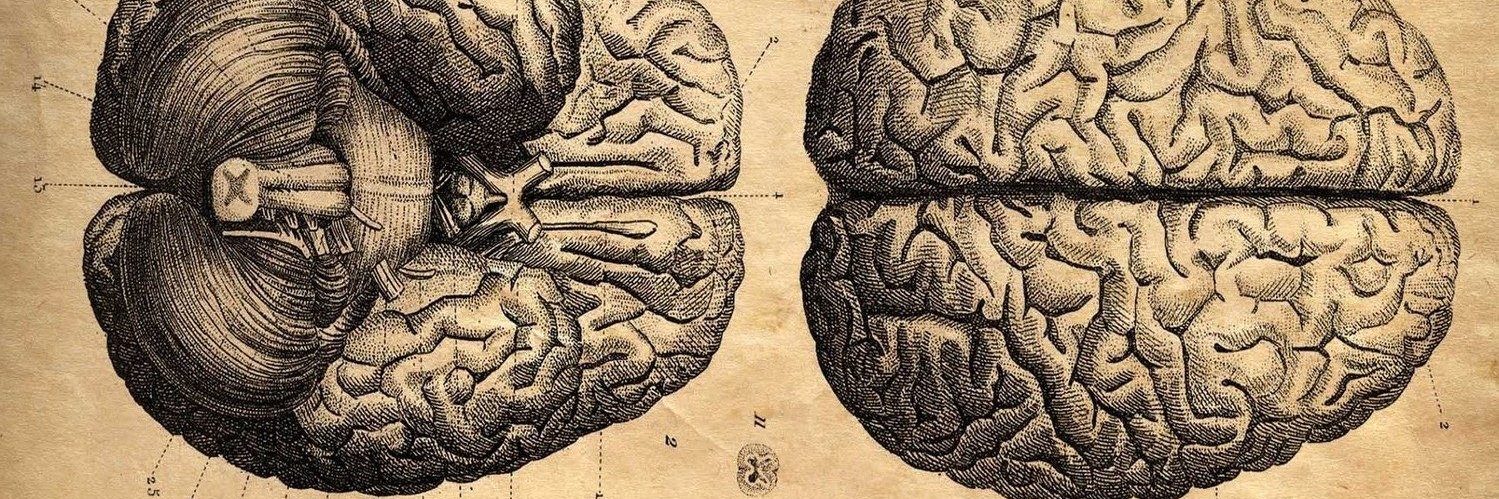 Steven Errington banner