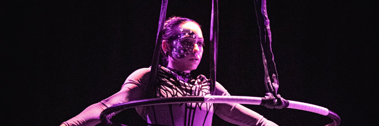 Pudd ÍInn Pöp banner