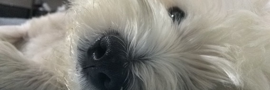 marcecorral's profile banner image