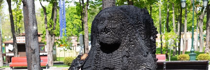 Umchas's profile banner image