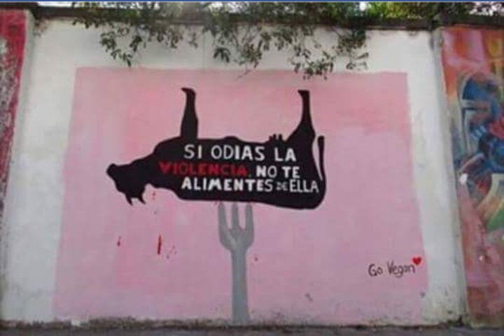 GugaSchultz's profile banner image
