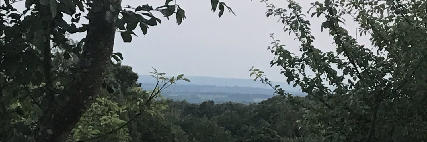 Blaadyblah banner