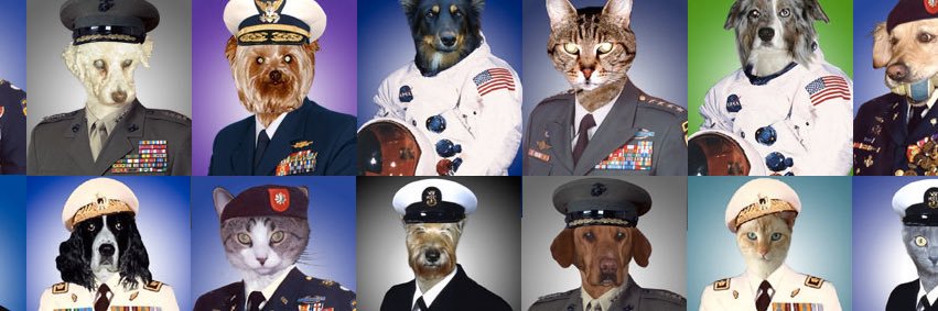 Quarter-Italian Sean Springer banner