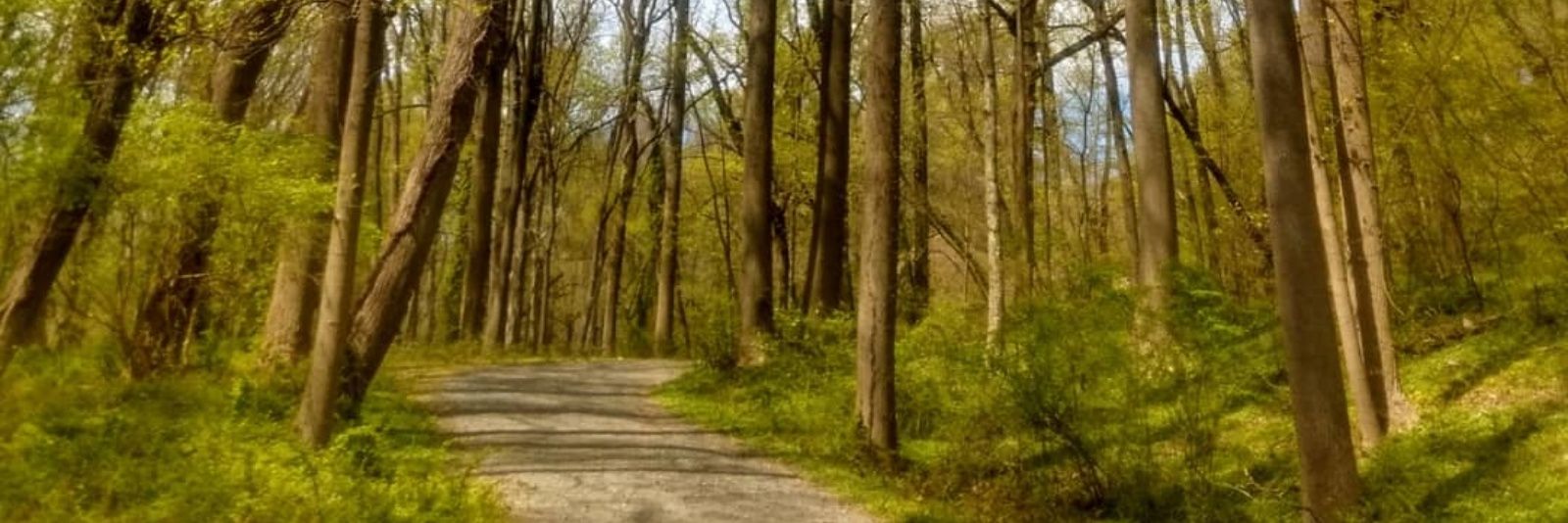 Naval ಠ_ಠ banner