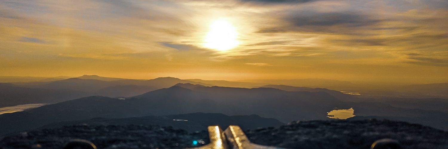Cheeseplant's profile banner image