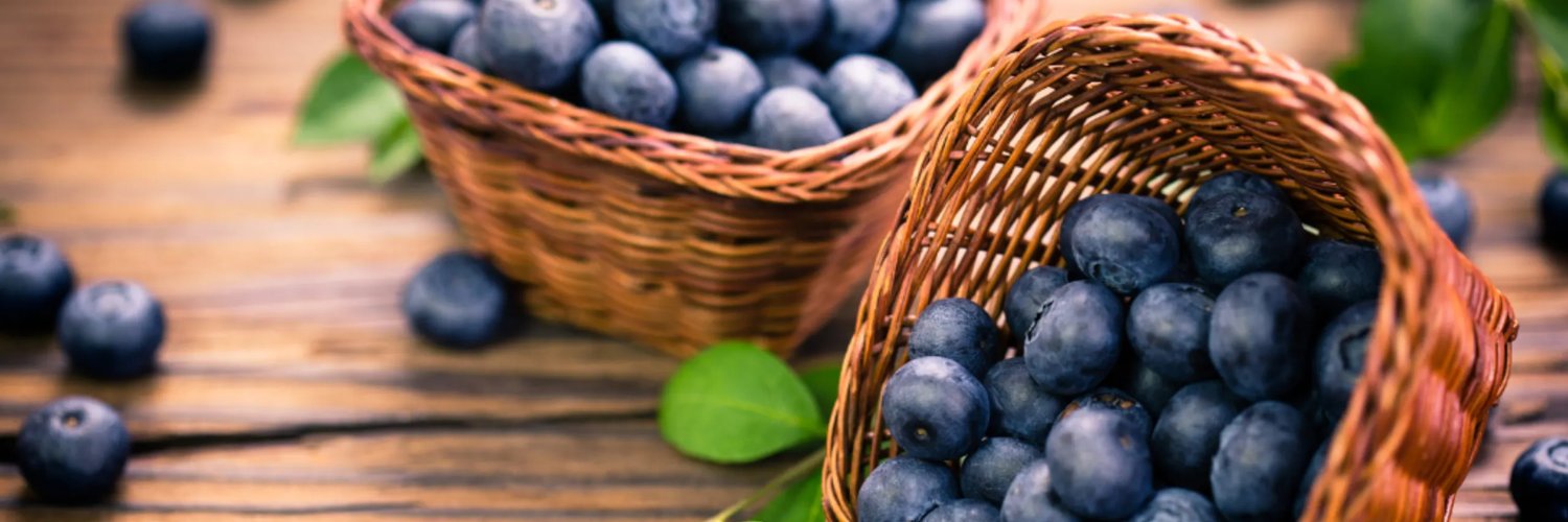 Mark Feierstein banner