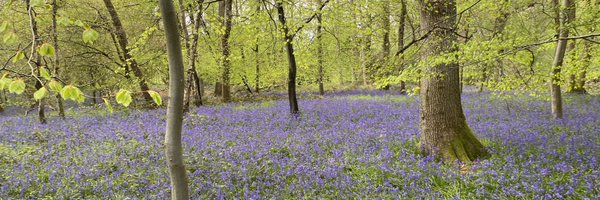 KateWarcoran Profile Banner