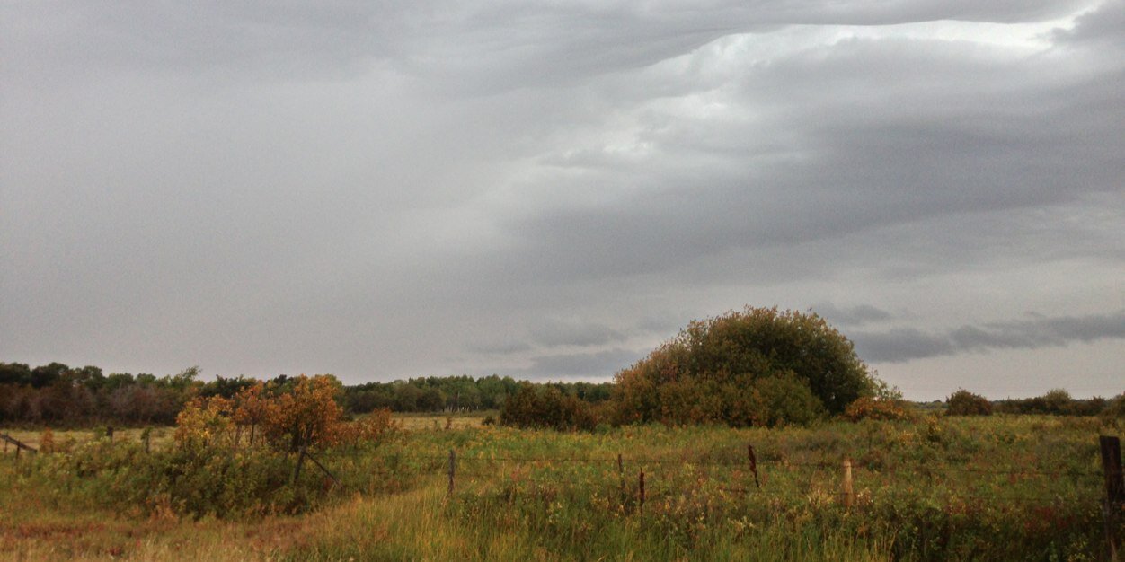 Brad Hockridge banner