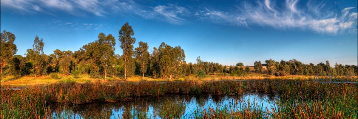 Junee Shire Council banner
