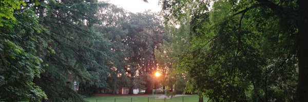 ThomasVO Profile Banner