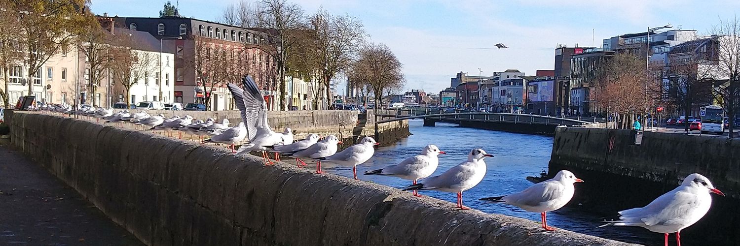 Majo #ImmigrantsWeGetTheJobDone Rivas, LL.M banner