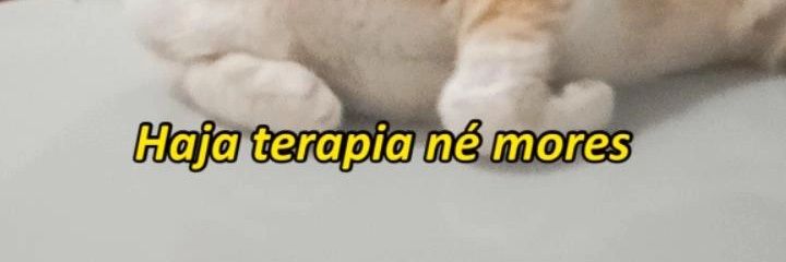 monikelaiz's profile banner image