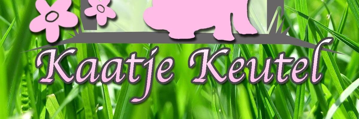 KarinKuipers's profile banner image