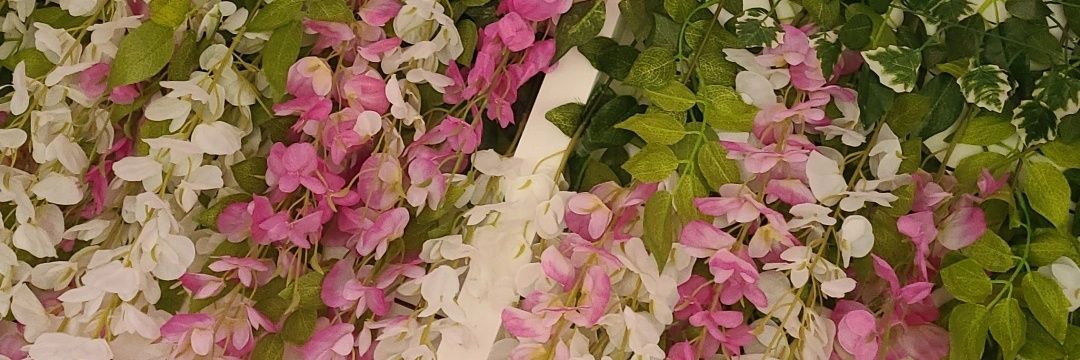 Trixie Firecracker banner