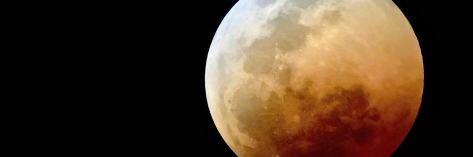 scaryrobot's profile banner image