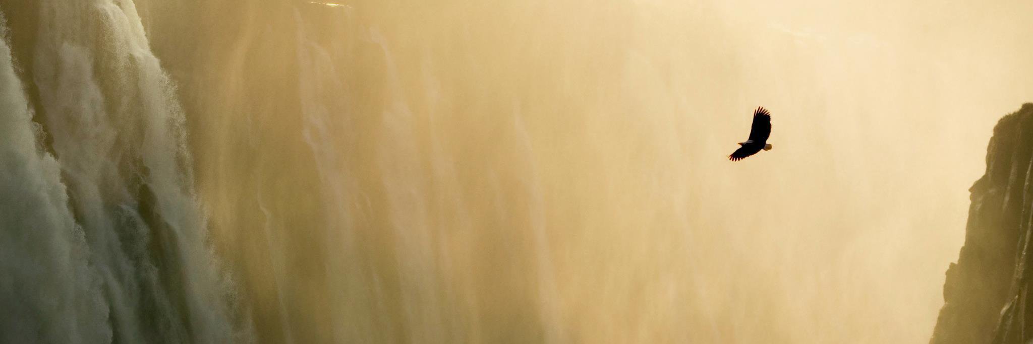 jasonpatton's profile banner image