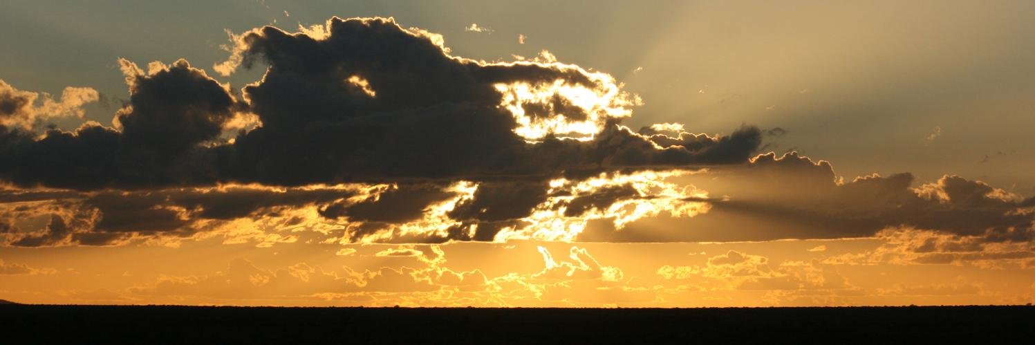 SchusterConsult's profile banner image