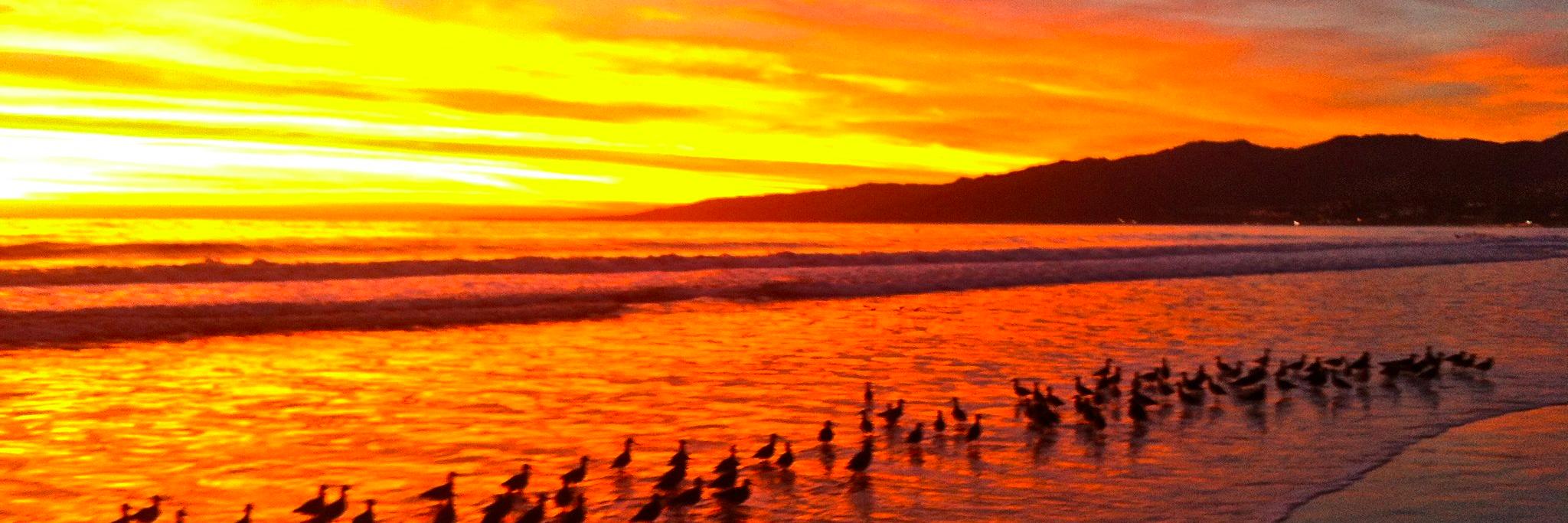 Santa Monica Patch banner