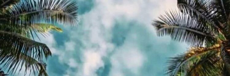 RossalyJo's profile banner image