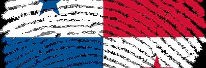 nvchaly_pty's profile banner image