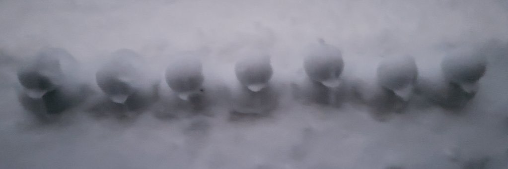bbraettgo's profile banner image