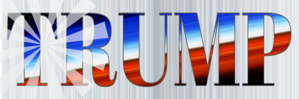 Write in Party Right banner