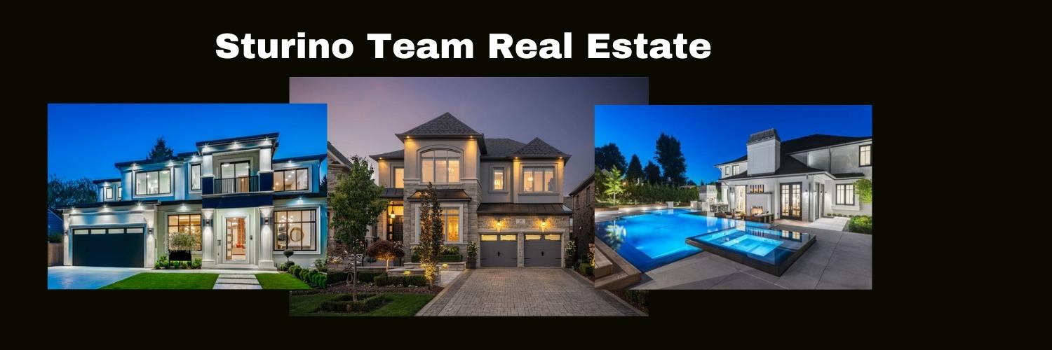 SturinoTeam's profile banner image