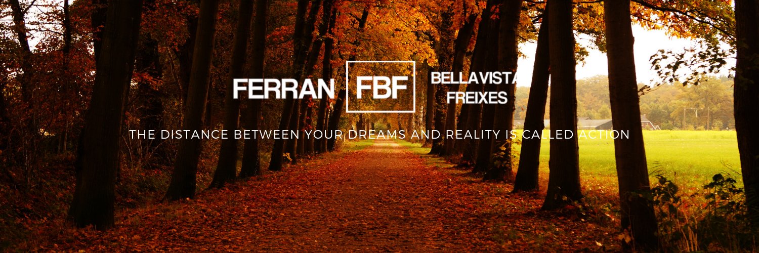 ferranbf's profile banner image