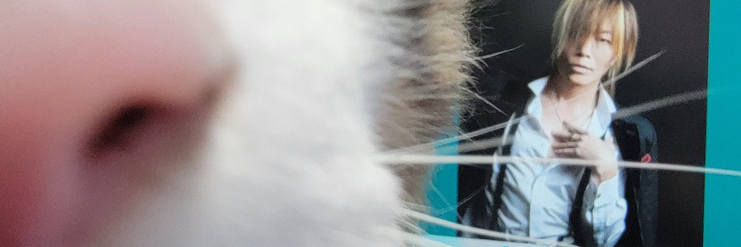 summerqueen banner