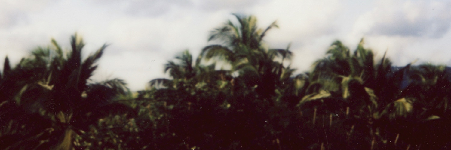 rem.'s banner