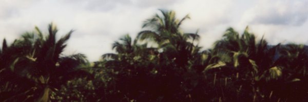 RemyBanks Profile Banner