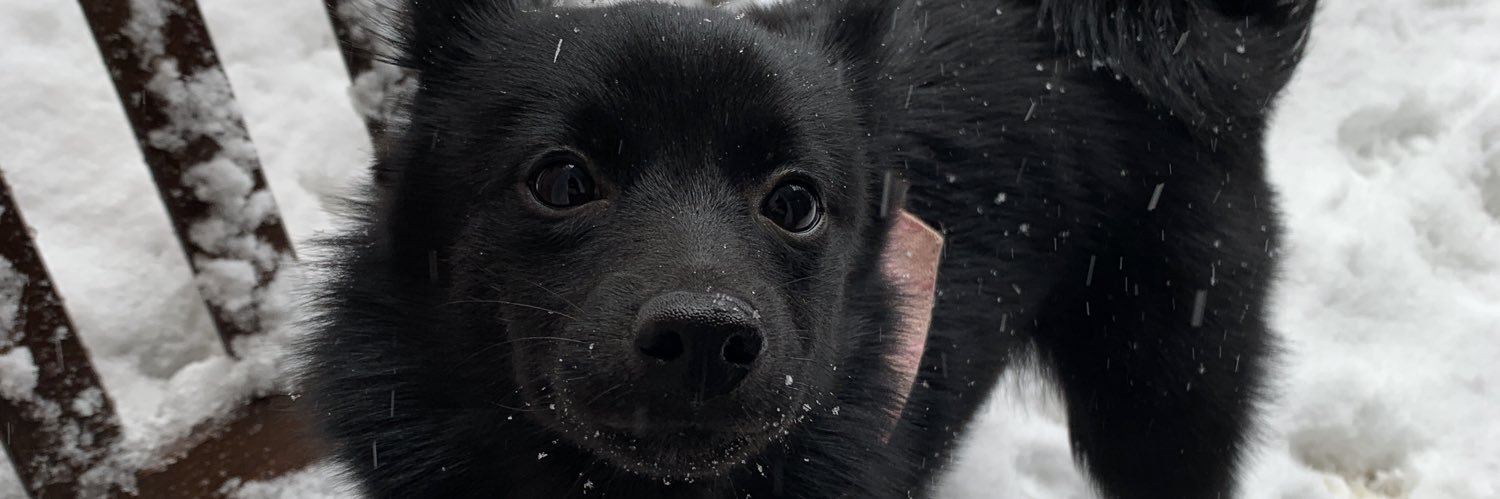 kayypow's profile banner image