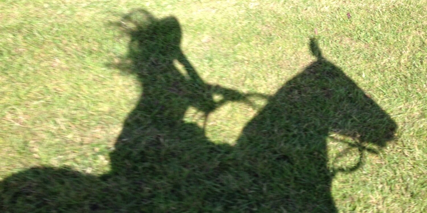 hattiegardner's profile banner image