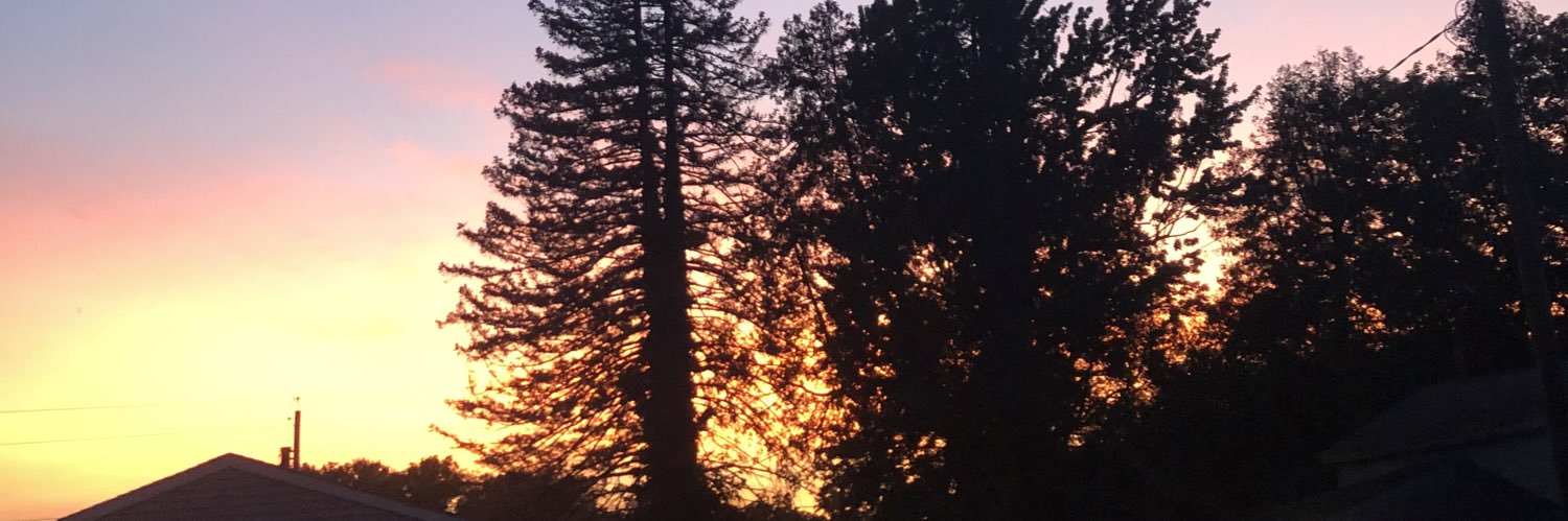 MissAnaXB's profile banner image