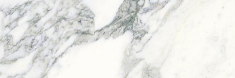emilymstaple's profile banner image