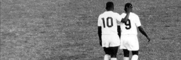 José Ferrazza banner