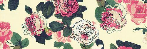 bertola_isabel's profile banner image