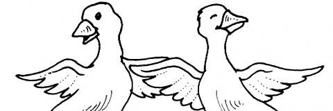 Daniel_Waniel's profile banner image