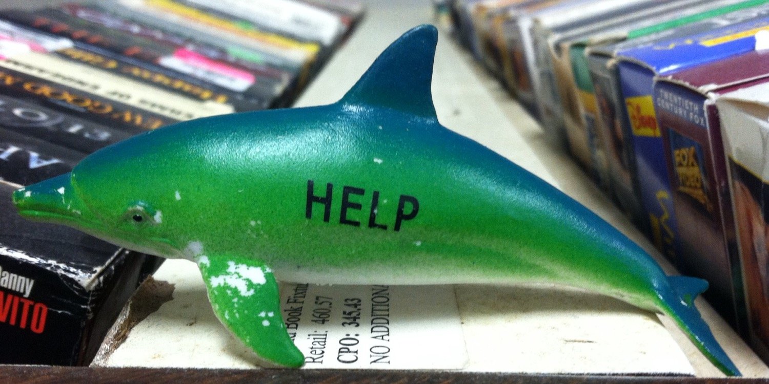 shantron scanamoochi banner