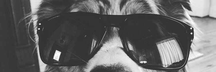 TerryBankson's profile banner image