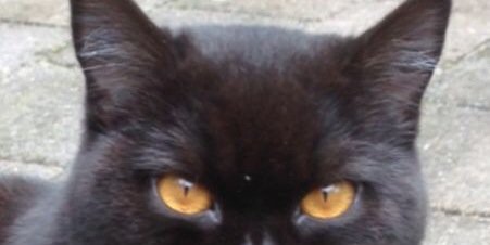Minne123's profile banner image