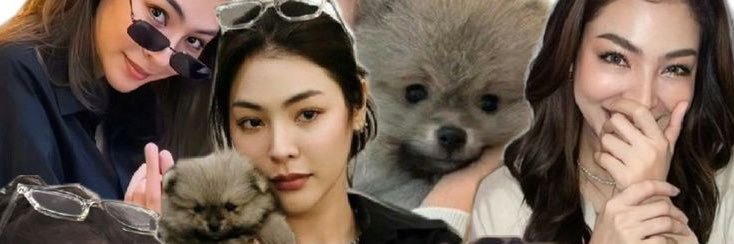 alison499's profile banner image
