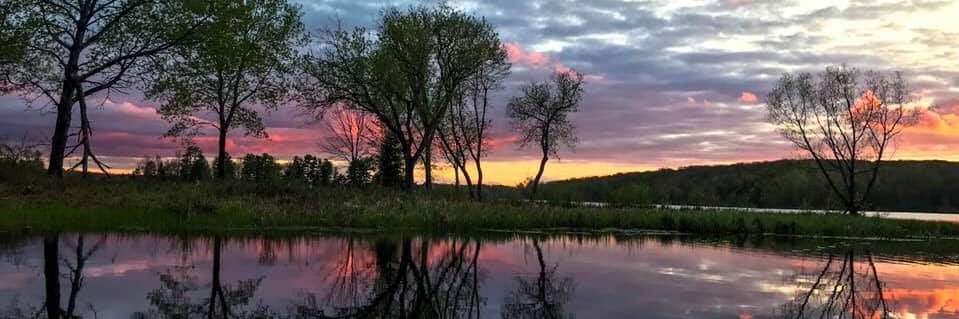 MNBassin14's profile banner image