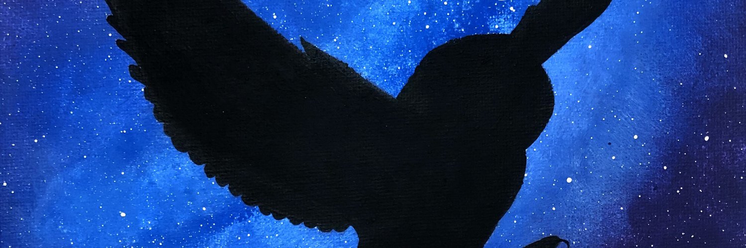 DA_Baldwin's profile banner image